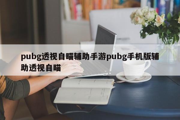绝地求生透视太多了2021_绝地求生透视_绝地求生透视制作原理